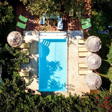 Turdus Merula Retreat Неа-Макри Экстерьер фото